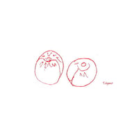 Ume-jaune 完熟梅　100グラム