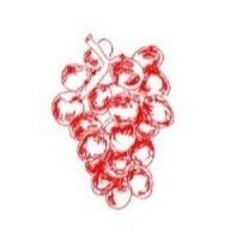 Raisin et rhum ラムレーズン 100グラム | alimnashop