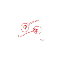 Cerise さくらんぼ　50グラム