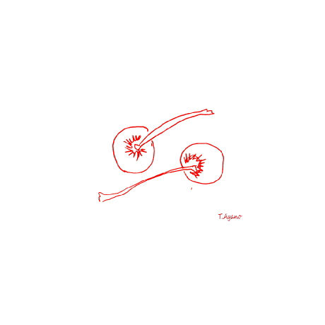 Cerise さくらんぼ　100グラム