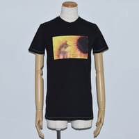 DOMESPAIR//Sunflower.PhotoT-shirt 【Black】