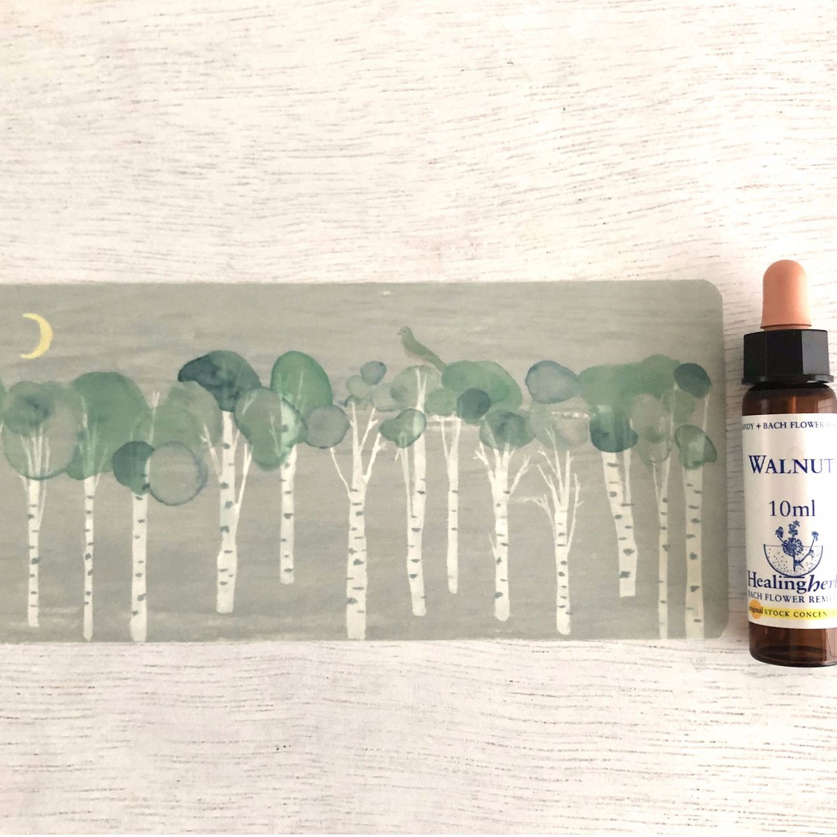 Walnut - ウォールナット - Flower Remedy / バッチ