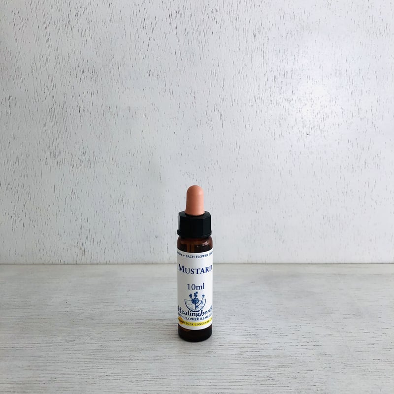 バッチ フラワーレメディ / セカンド19 | mahina pharmacy online