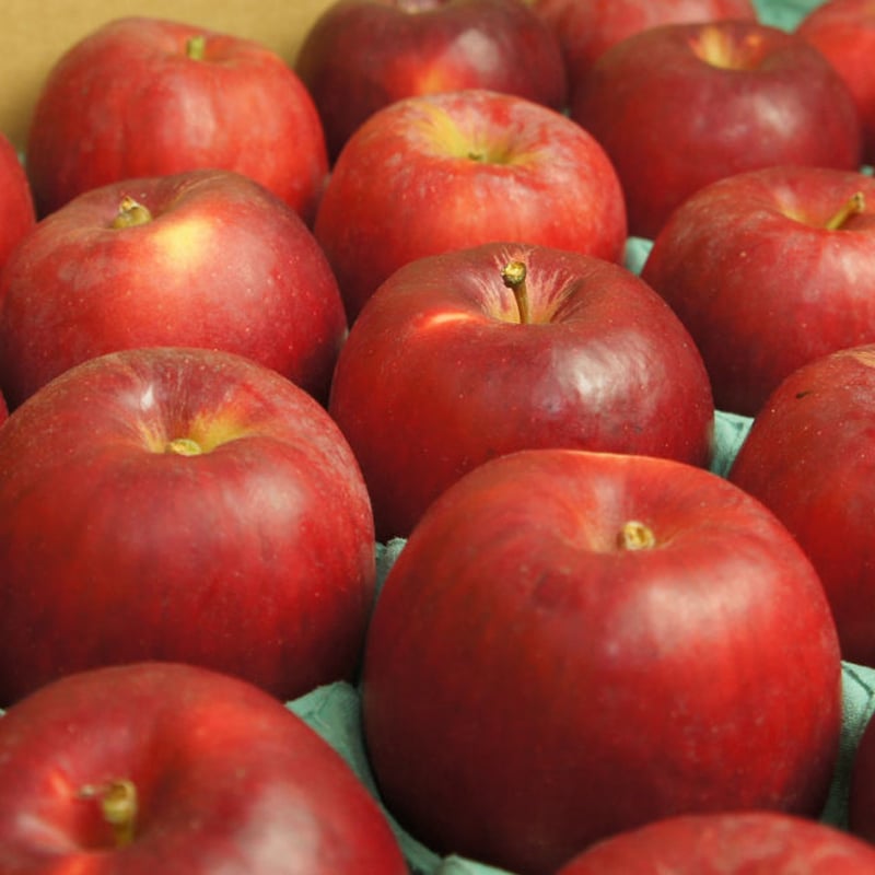 【専用】りんご様 5～7月発送 特選 甚八りんごふじ5kg 【青森県 平川市 マルジン