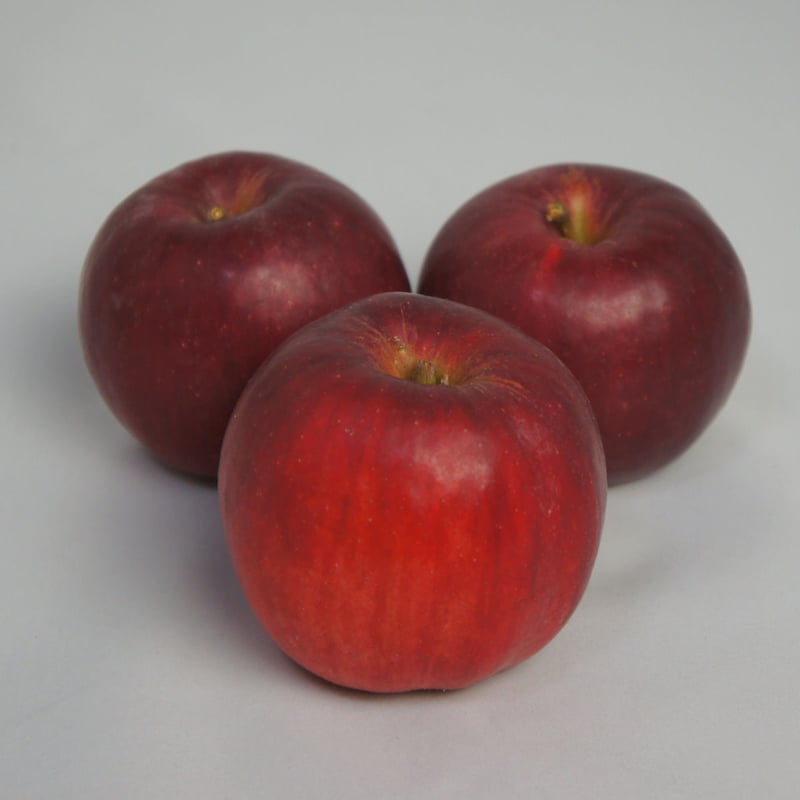 紅玉」5kg(18~25玉)【青森県産りんご:家庭用・加工用 紅玉」5kg(18~25玉)【青森県産りんご:家庭用・加工用