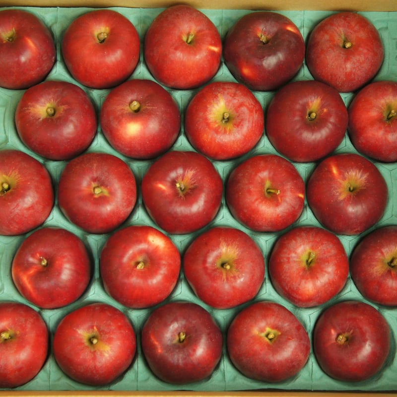 りんご　専用 りんご | 商品一覧 | マックストレーディング株式会社