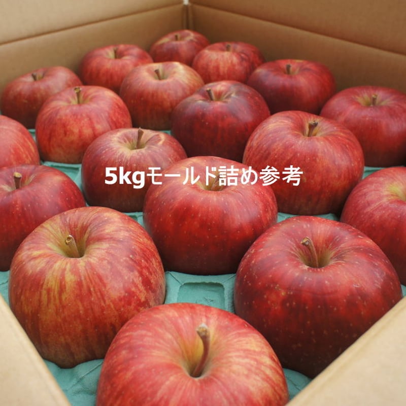千秋」5kg（14～18玉）【青森県産りんご：家庭用】【送料