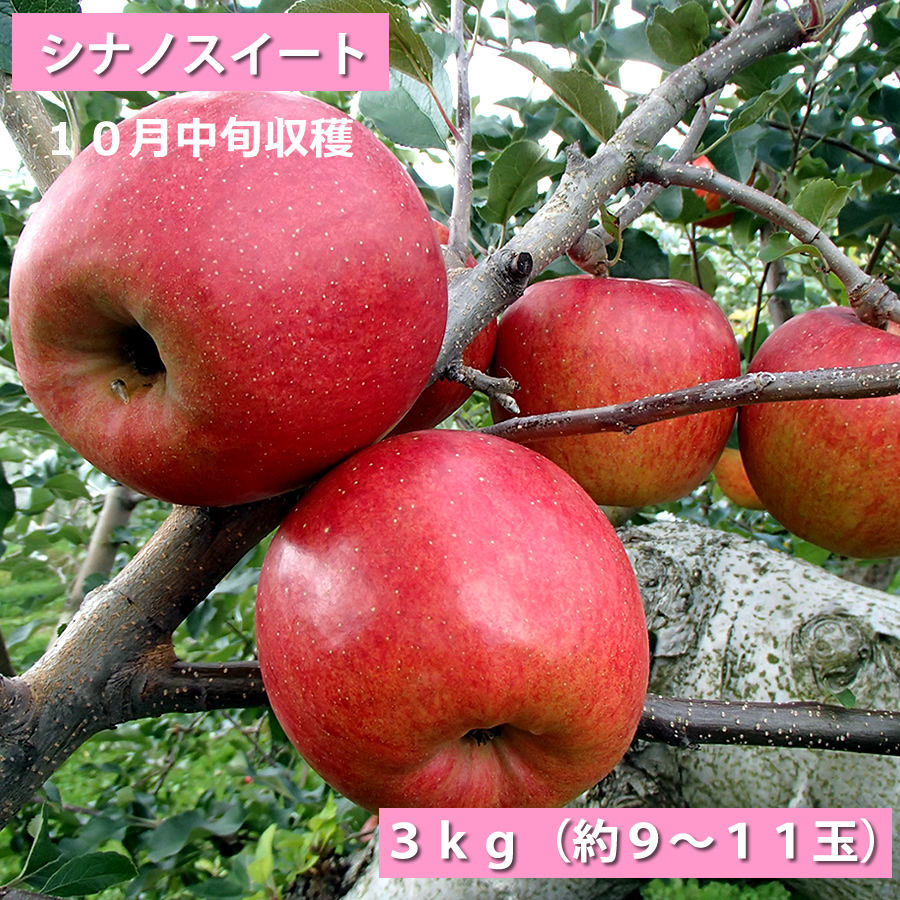 シナノスイート」 【青森県弘前産りんご：家庭用】 | つがる林檎園