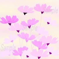 イラスト いっぱいのコスモス A4サイズ 額入り