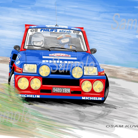イラスト ルノー 5 MAXI ターボ ツールドコルス 1985年 A4サイズ 額入り
