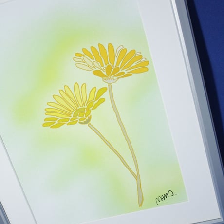 イラスト 黄色いガーベラ A4サイズ 額入り