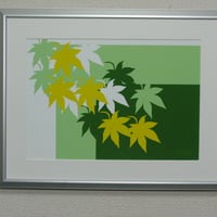 イラスト 緑カラフル もみじ A4サイズ 額入り