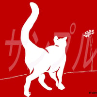 イラスト コスモスとシロネコ A4サイズ 額入り
