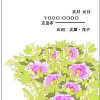 ハガキ デザイン