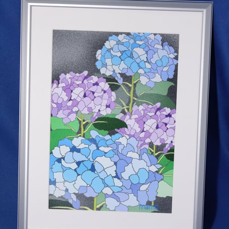 イラスト 紫陽花 ムラサキ A4サイズ 額入り