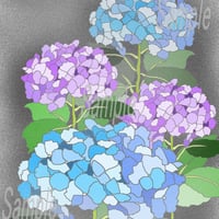 イラスト 紫陽花 ムラサキ A4サイズ 額入り