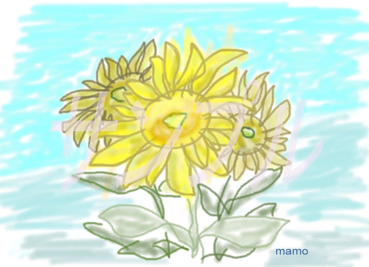 イラスト ひまわり A4サイズ 額入り | 小さな美術館