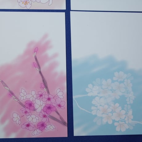 桜のイラスト ポストカード 10枚セット