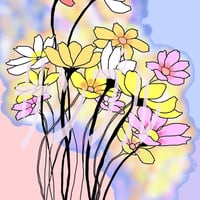 イラスト コスモス 2 A4サイズ 額入り