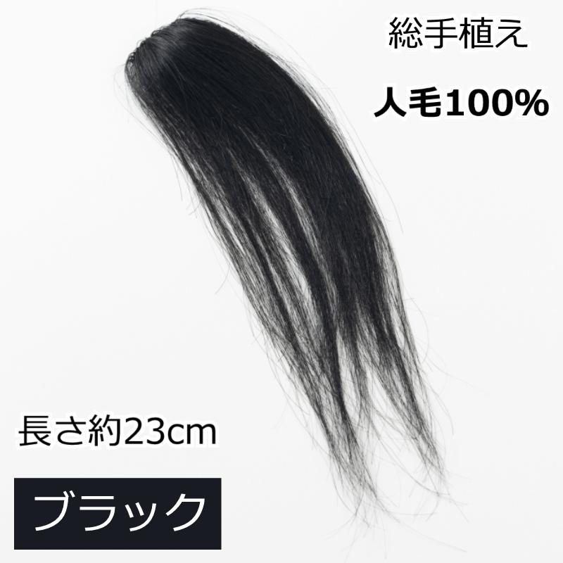人毛100％ ポイントウィッグ ヘアピース 総手植え エクステ 自然 医療