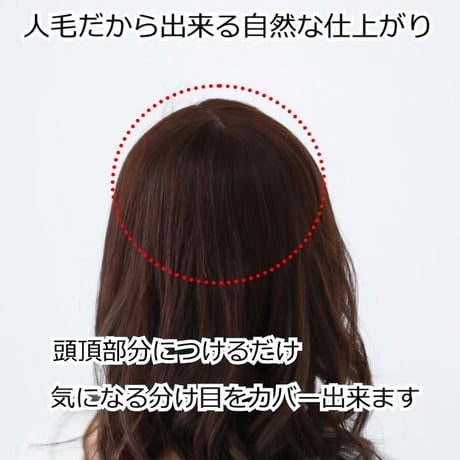 人毛 部分 ウィッグ 女性用 ヘアピース 部分ウィッグ 人毛ヘアピース 人毛100％ 自然 ダークブラウン 部分かつら 部分ピース  TH812