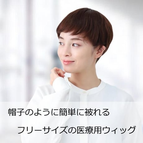 医療用ウィッグ 人毛100％ 人毛 ケア 脱毛 医療用ウィッグ ショート フルウィッグ 人毛ウィッグ  AH3165