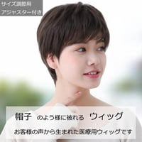 ウィッグ 医療用ウィッグ レディース  医療用 医療用ウィッグ E23