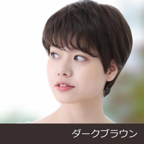 ウィッグ 医療用ウィッグ レディース  医療用 医療用ウィッグ E23