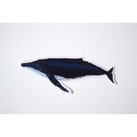 【ステッカー】ザトウクジラ