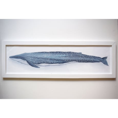【原画】　海辺の記録 "シロナガスクジラ"