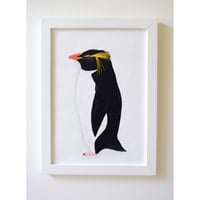 【原画】　海辺の記録 "イワトビペンギン"