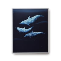 【原画】　Under the moonlight "Dolphins"