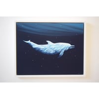 原画　Under the moonlight "Dolphin"