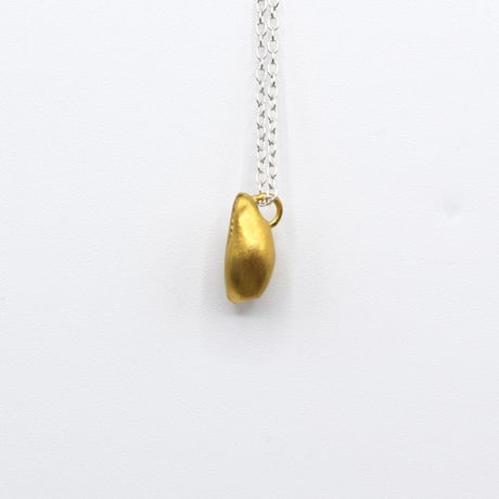 Bisho necklace 05 タカラガイ
