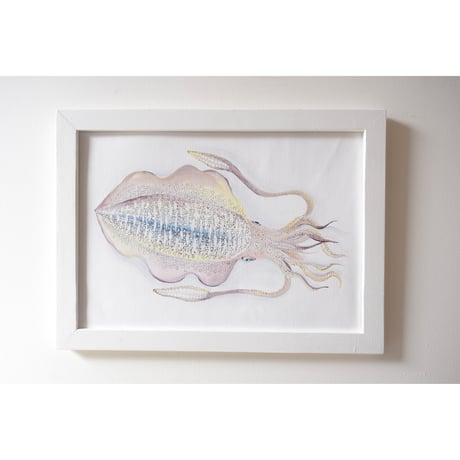 【原画】　海辺の記録 "アオリイカ"
