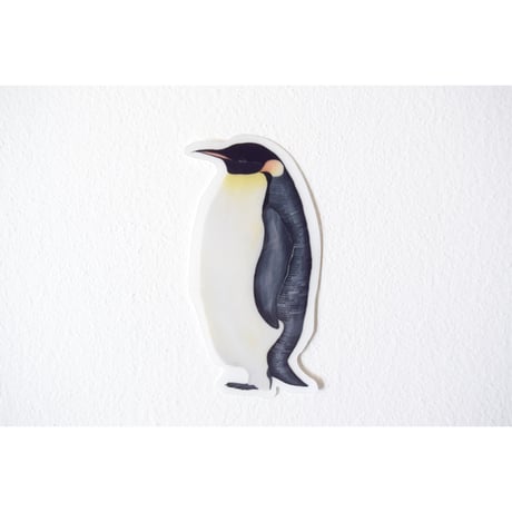 【ステッカー】コウテイペンギン