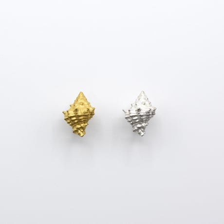 Bisho pierce 19 コオニコブシ