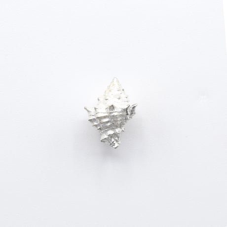 Bisho pierce 19 コオニコブシ