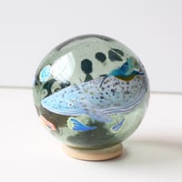 【原画】　Coral Garden Glass float "コククジラ”