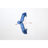 原画　BIRD Stork