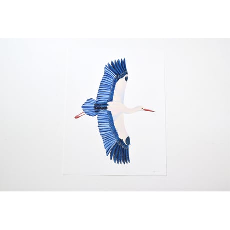 原画　BIRD Stork