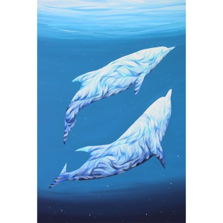 dolphin | STORES