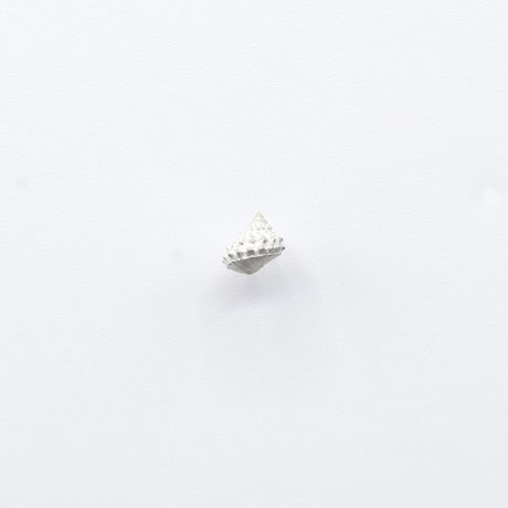 Bisho pierce 16 コンペイトウガイ