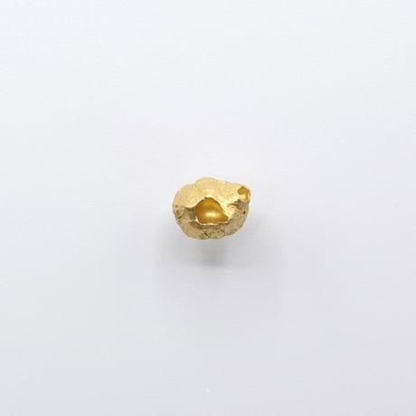 Bisho pierce 06 フジツボ
