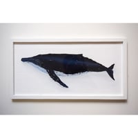 【原画】　海辺の記録 "ザトウクジラ"