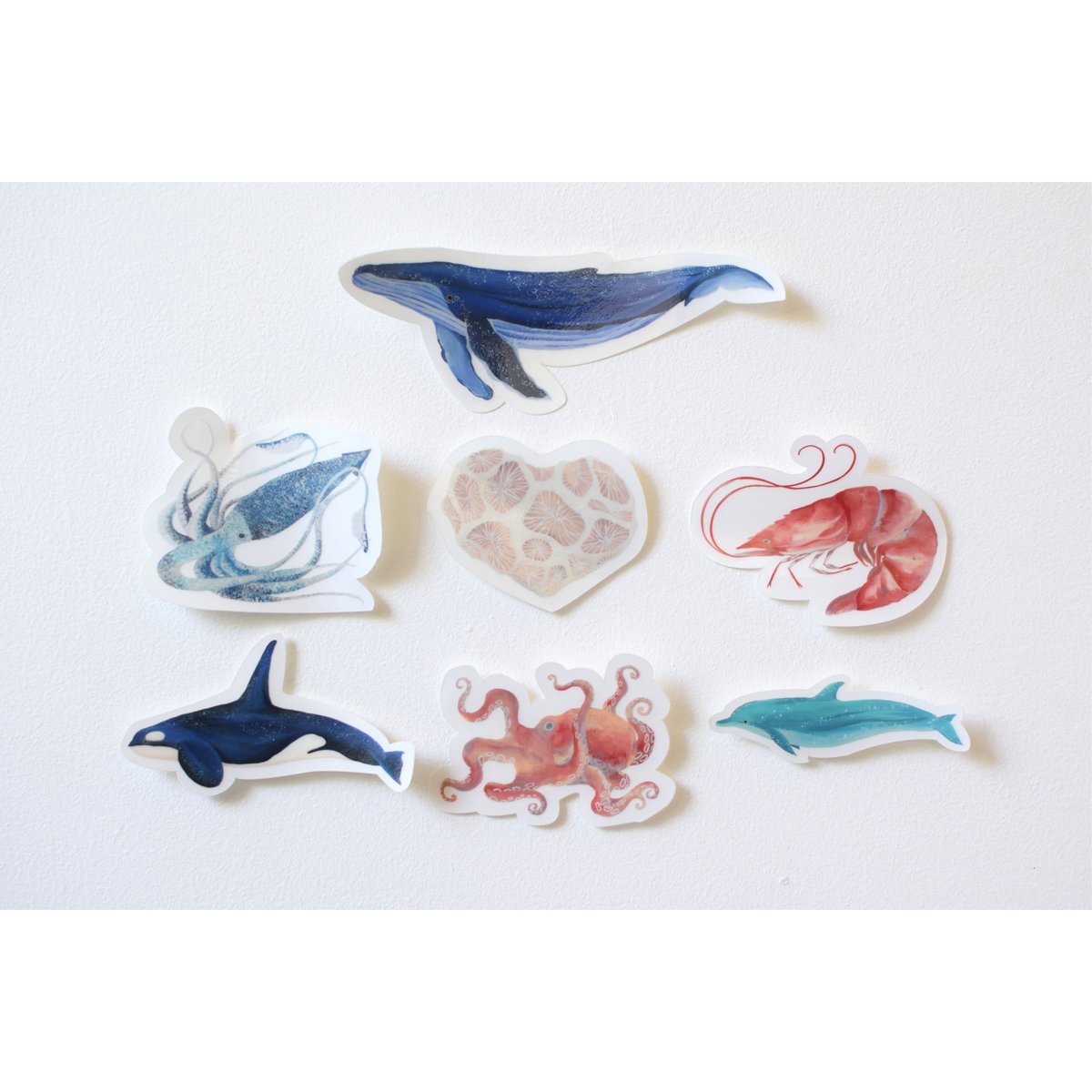 ザトウクジラステッカー | SEA SIDE MUSEUM