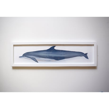 【原画】　海辺の記録 "ハンドウイルカ"