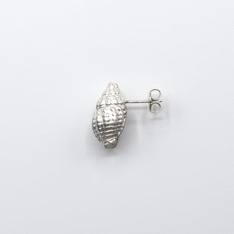Bisho pierce 12 ヒメムシロ