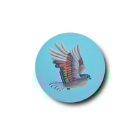 原画　BIRD “アオバズク“