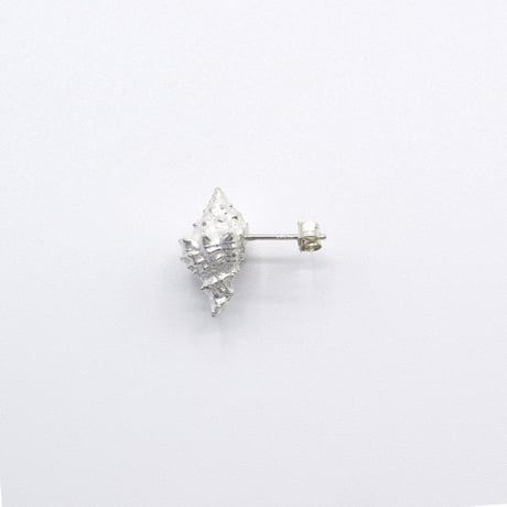 Bisho pierce 19 コオニコブシ